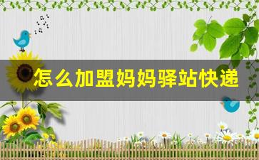 怎么加盟妈妈驿站快递代收点_妈妈驿站怎么加盟开店联系方式