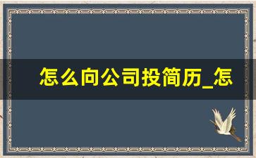 怎么向公司投简历_怎么向招聘单位投简历