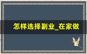 怎样选择副业_在家做的副业