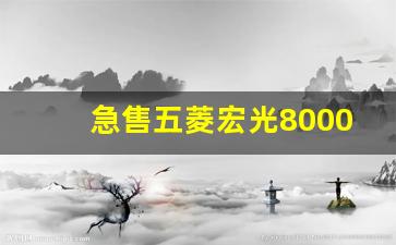 急售五菱宏光8000元