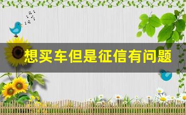 想买车但是征信有问题_征信黑了可以在4s店分期买车