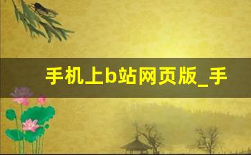 手机上b站网页版_手机流畅使用网页版B站