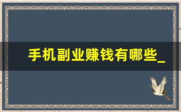 手机副业赚钱有哪些_怎么从网上接单干活呢