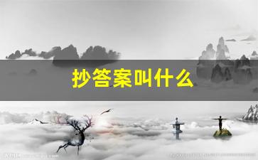 抄答案叫什么