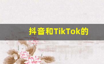 抖音和TikTok的区别_tiktok用什么加速器