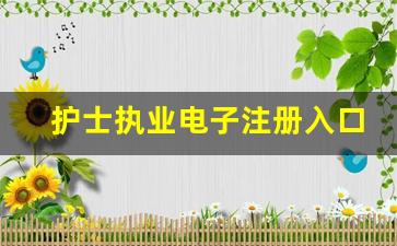 护士执业电子注册入口手机版_护士执业信息电子注册入口