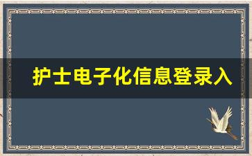 护士电子化信息登录入口个人端