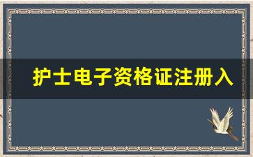 护士电子资格证注册入口