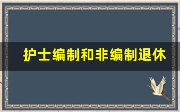 护士编制和非编制退休后待遇差别