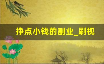 挣点小钱的副业_刷视频挣钱一天300元