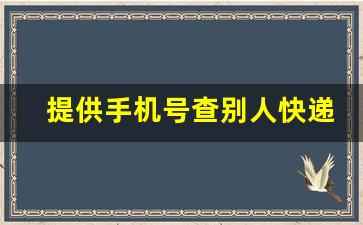 提供手机号查别人快递地址_怎么查别人名下的快递