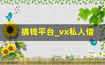 搞钱平台_vx私人借钱