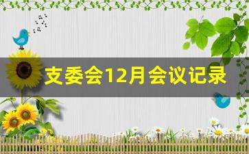 支委会12月会议记录