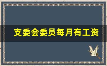 支委会委员每月有工资吗_支部的工资待遇是否合理