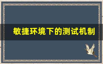 敏捷环境下的测试机制_敏捷机制应用计划