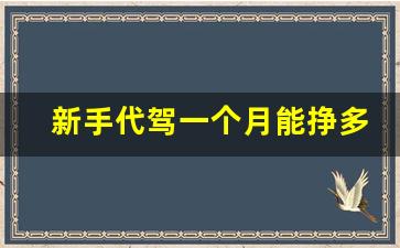 新手代驾一个月能挣多少钱_代驾公司的利润在哪里