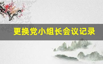 更换党小组长会议记录_换届党小组会议记录