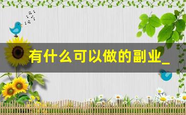 有什么可以做的副业_下班后赚钱的100个副业