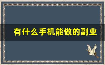 有什么手机能做的副业_手机店还能搞副业吗