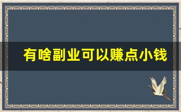 有啥副业可以赚点小钱