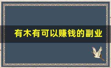 有木有可以赚钱的副业_能挣钱的副业