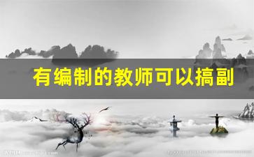 有编制的教师可以搞副业吗_老师能从事营利性副业吗