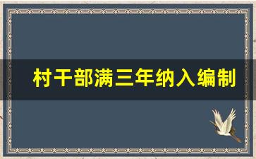 村干部满三年纳入编制