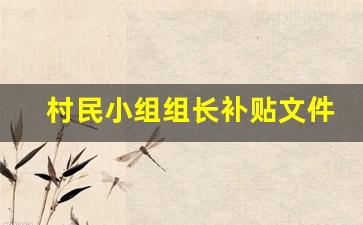 村民小组组长补贴文件_党小组组长有补助吗