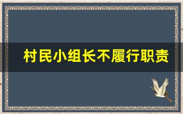 村民小组长不履行职责怎么办_更换村民小组长的程序