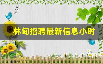 林甸招聘最新信息小时工_林甸哪个企业招工人