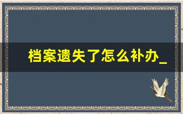 档案遗失了怎么补办_个人档案归档