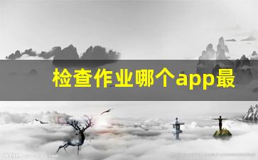 检查作业哪个app最好_语文作业检查软件app