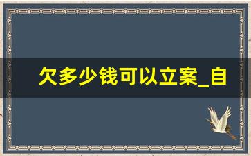 欠多少钱可以立案_自己怎么申请停息挂账