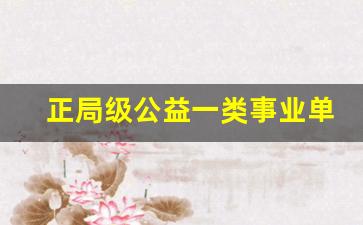 正局级公益一类事业单位待遇_公益一类算铁饭碗吗