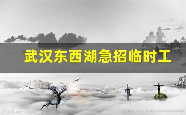 武汉东西湖急招临时工_武汉东西湖招聘网最新招聘信息