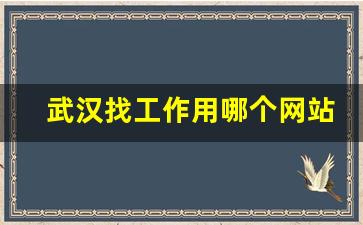 武汉找工作用哪个网站_武汉大型企业招聘信息