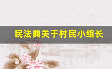 民法典关于村民小组长的条款_农村小组长属于什么人员