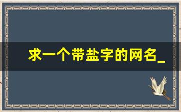 求一个带盐字的网名_盐最吉利的名字