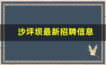 沙坪坝最新招聘信息