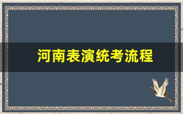 河南表演统考流程