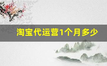 淘宝代运营1个月多少钱_淘宝店铺转让价格表