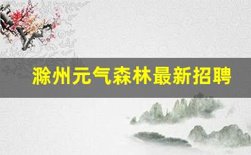 滁州元气森林最新招聘信息_元气森林宜昌代理