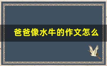 爸爸像水牛的作文怎么写