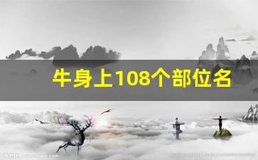 牛身上108个部位名称图