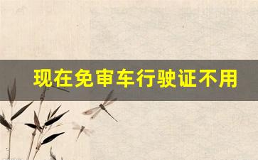 现在免审车行驶证不用打时间了吗_汽车6年免审但是行驶证上没印日期