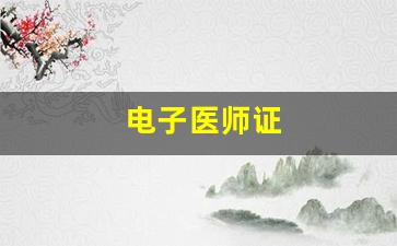 电子医师证