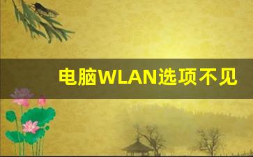 电脑WLAN选项不见了