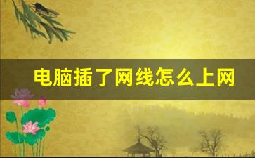 电脑插了网线怎么上网_笔记本直接插网线不能上网