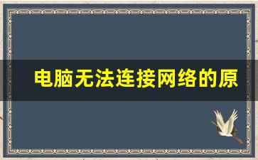 电脑无法连接网络的原因_win11已连接但无internet访问