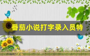 番茄小说打字录入员特色_信息录入员兼职